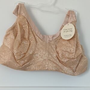 Womens NWT Mastemony Bra Nude Size 38DD